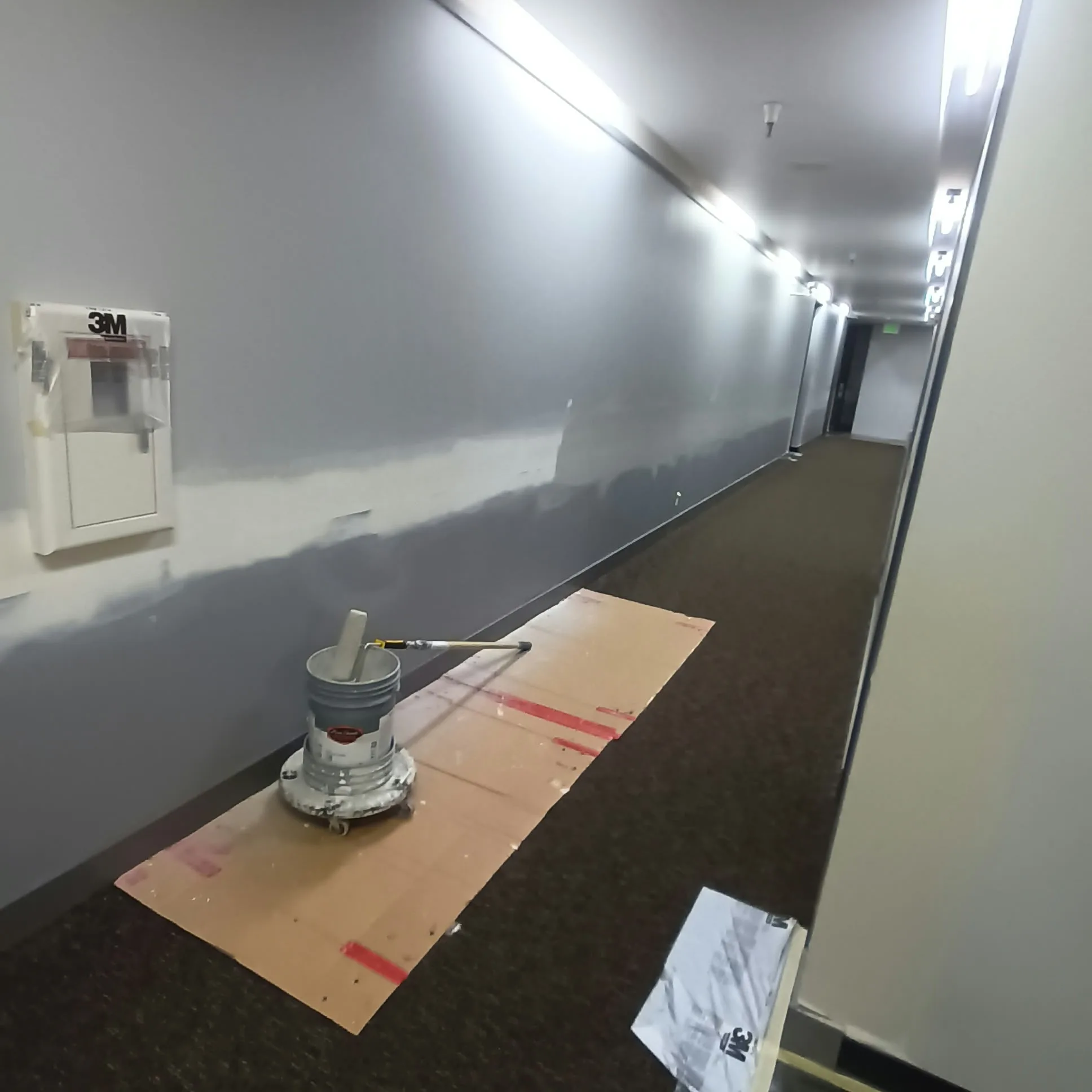 Commercial painting in San Jose, CA: corridor repaint with carpet protected